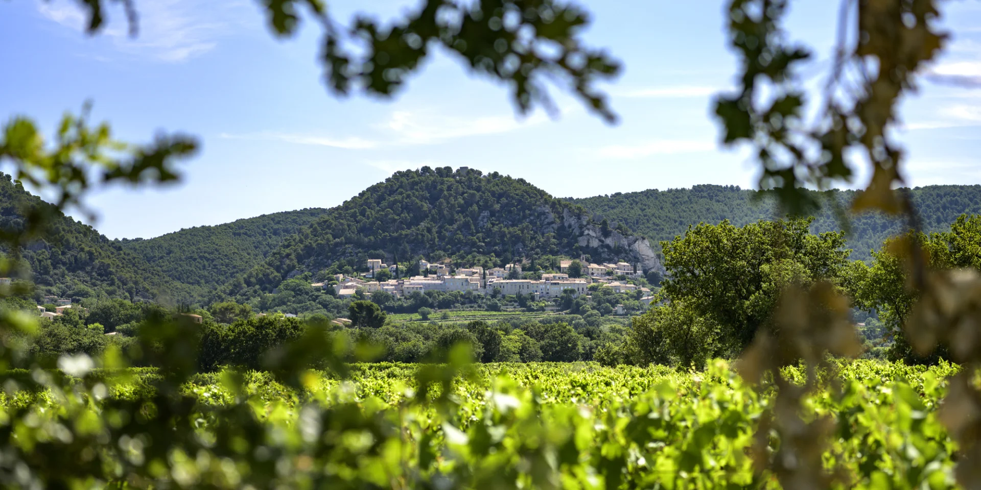 Seguret village in spring