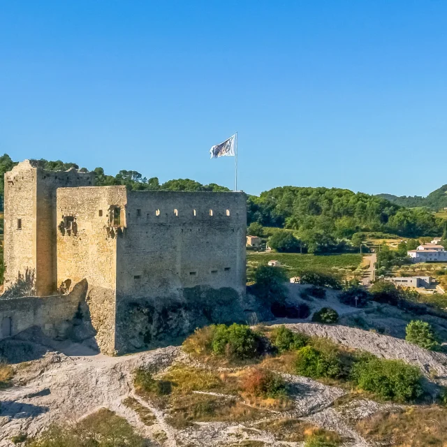 Chateau Vaisondrone Vaison Ventoux Laurent.pamato Lise.trincaretto 0114