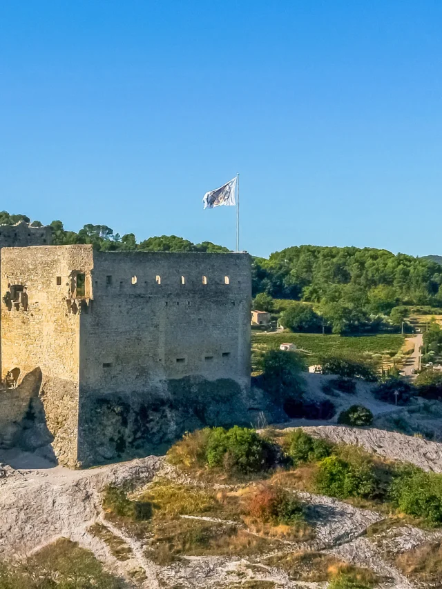 Chateau Vaisondrone Vaison Ventoux Laurent.pamato Lise.trincaretto 0114