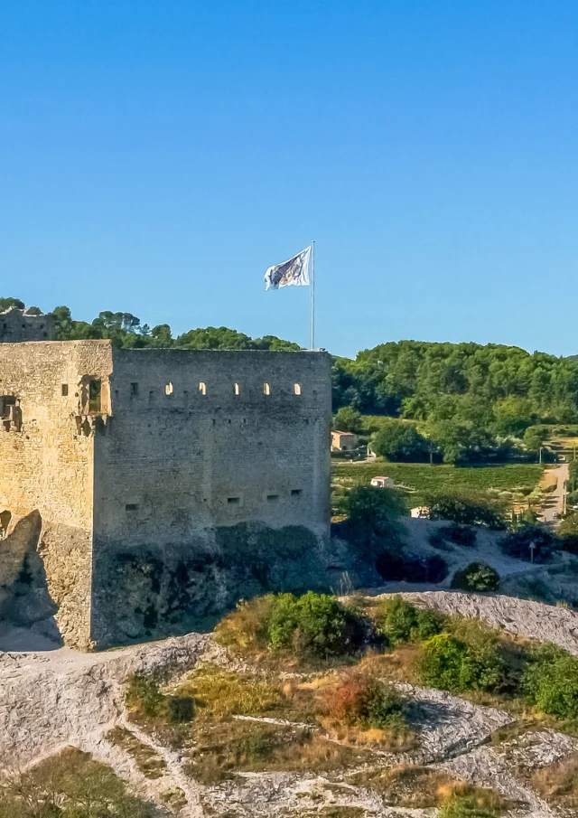 Chateau Vaisondrone Vaison Ventoux Laurent.pamato Lise.trincaretto 0114