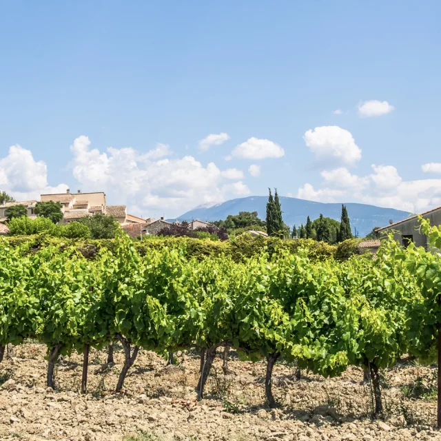St Marcellin Village Pays Vaison Ventoux@l.pamato 6757