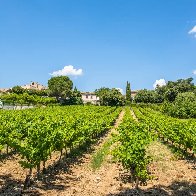 St Marcellin Village Pays Vaison Ventoux@l.pamato 6761