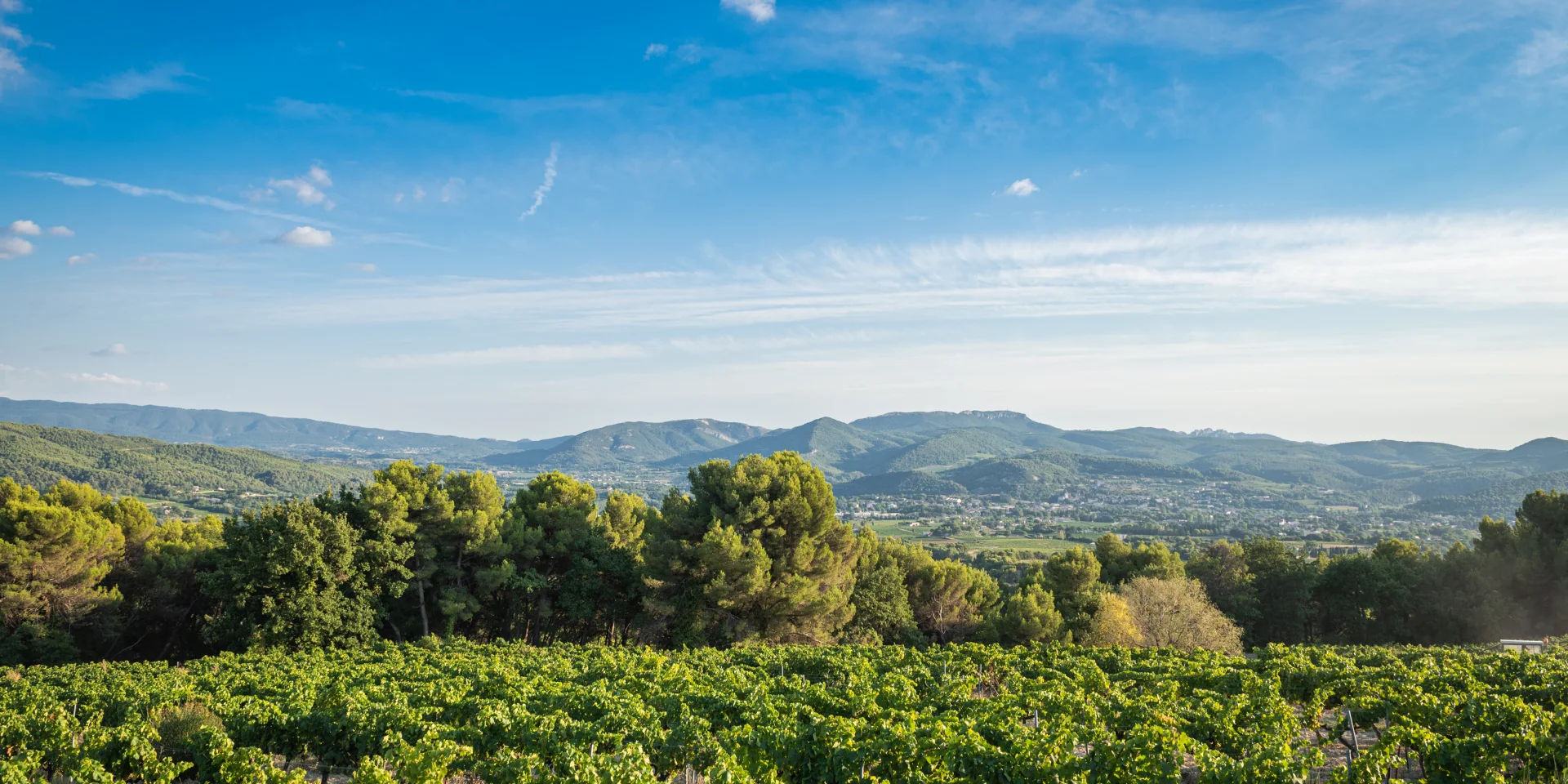Apéro perché Youpi rondleidingen op het landgoed La Fille des Vignes