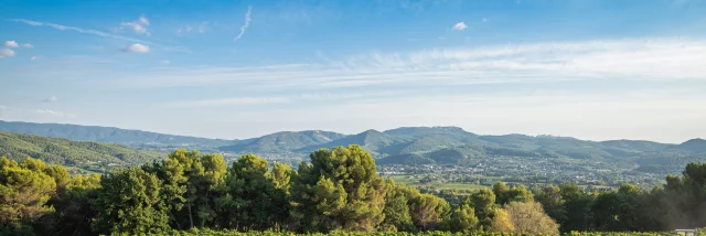 Apéro perché Youpi rondleidingen op het landgoed La Fille des Vignes