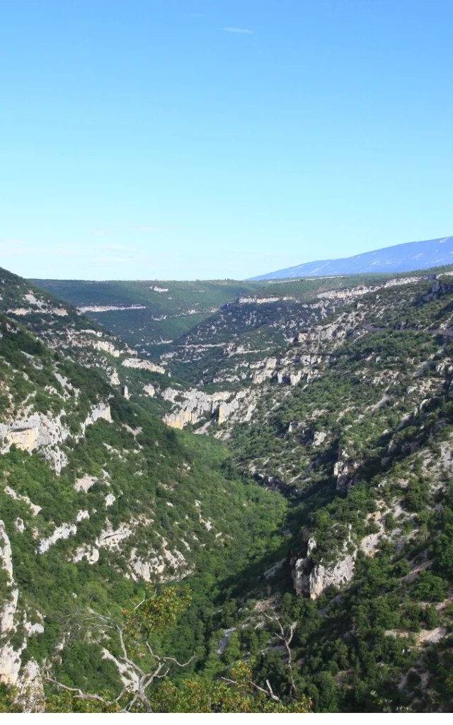 Les Gorges de la Nesque