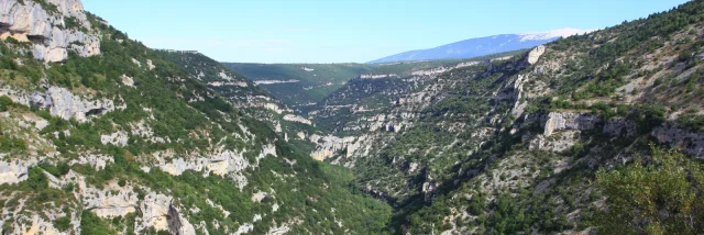 Gorges de la Nesque