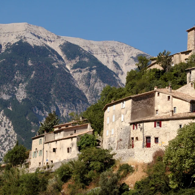 Brantes3@philippeabel