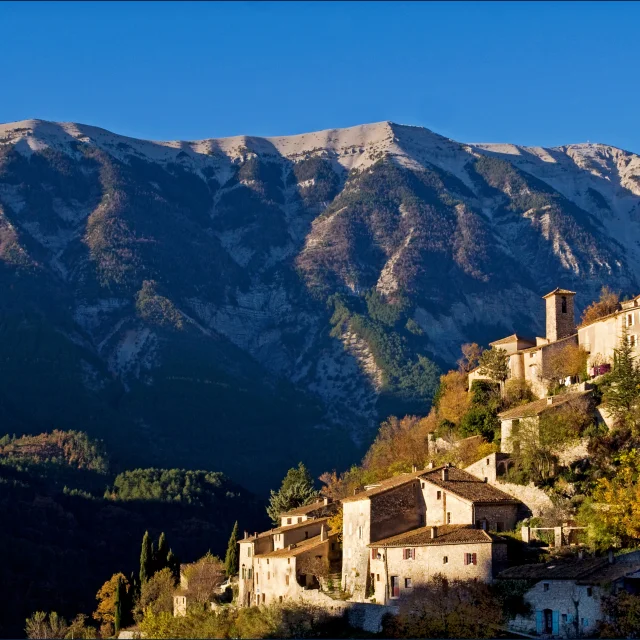 Brantes5@philippeabel