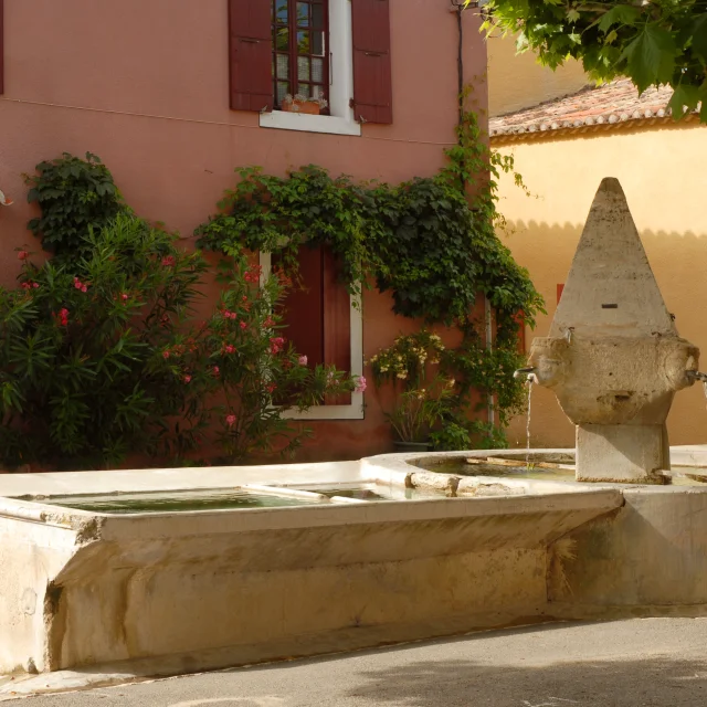 Buisson2@philippeabel