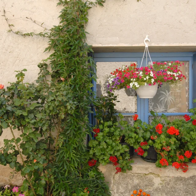 Buisson6@philippeabel