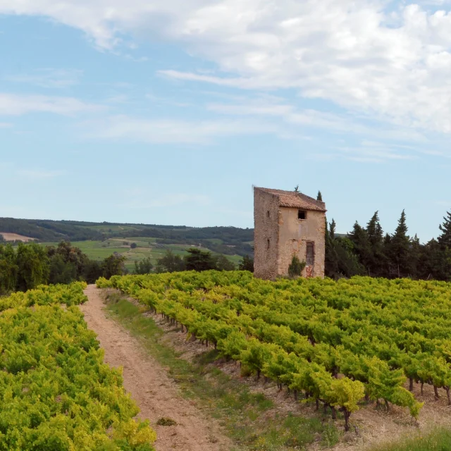 Buisson8@philippeabel