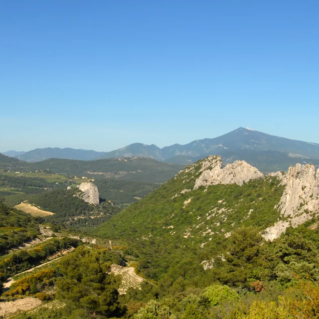 Dentelles 5536@philippeabel