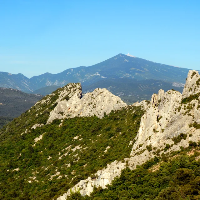 Dentelles 5547@philippeabel