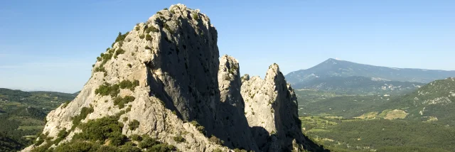 Dentelles 5560@philippeabel