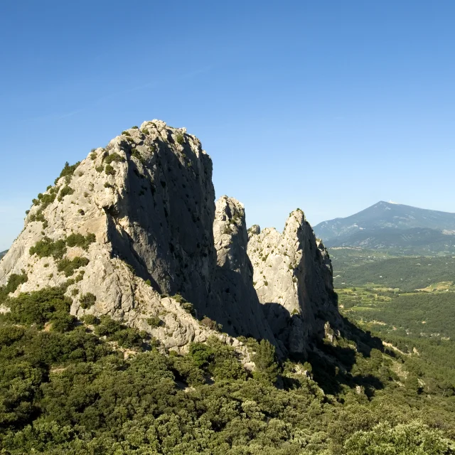Dentelles 5560@philippeabel