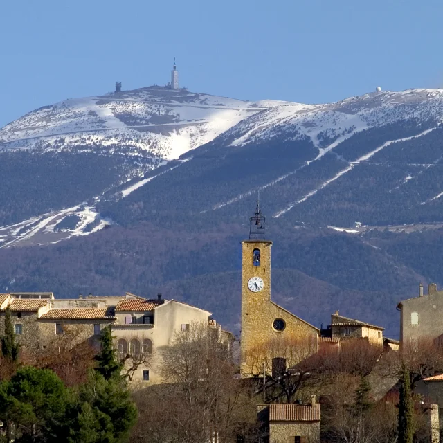 Faucon3@philippeabel