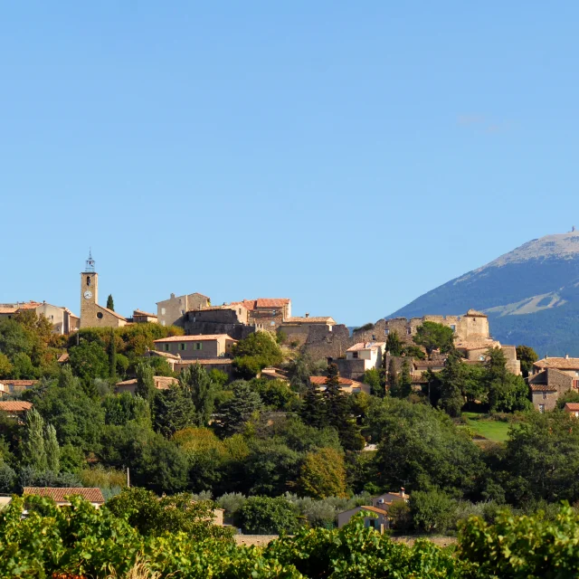 Faucon5@philippeabel