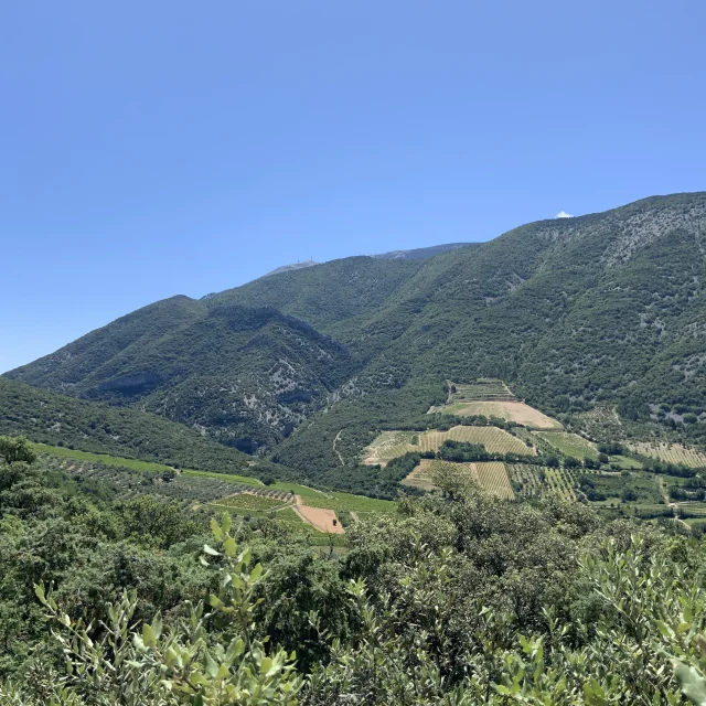 St-Léger-Du-Ventoux
