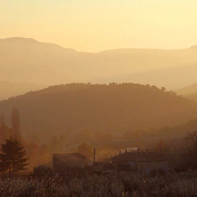 Laube En Decembre@philippeabel