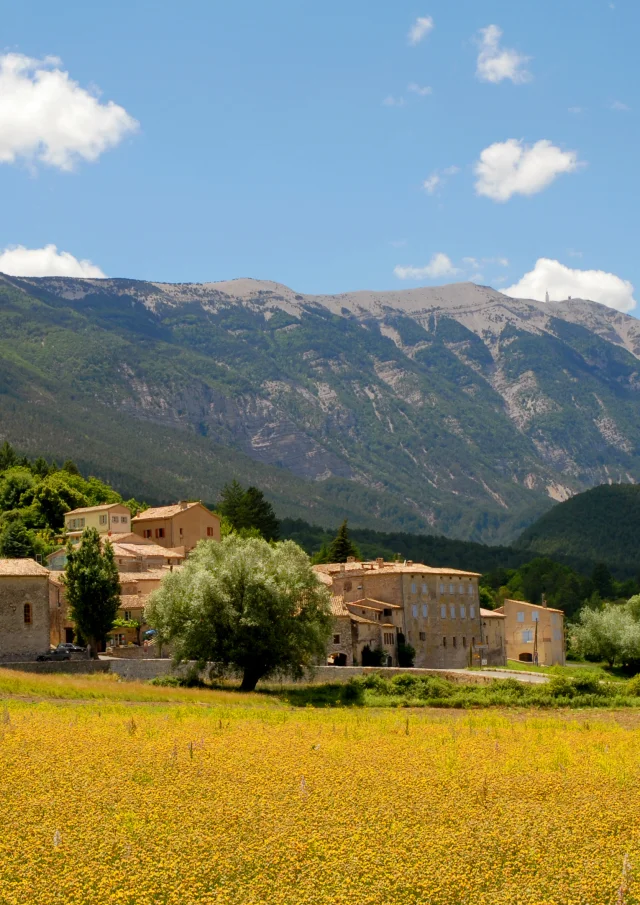 Dorf Savoillans mit dem Mont-Ventoux im Hintergrund