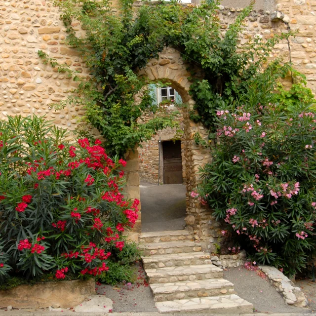 Village de Villedieu