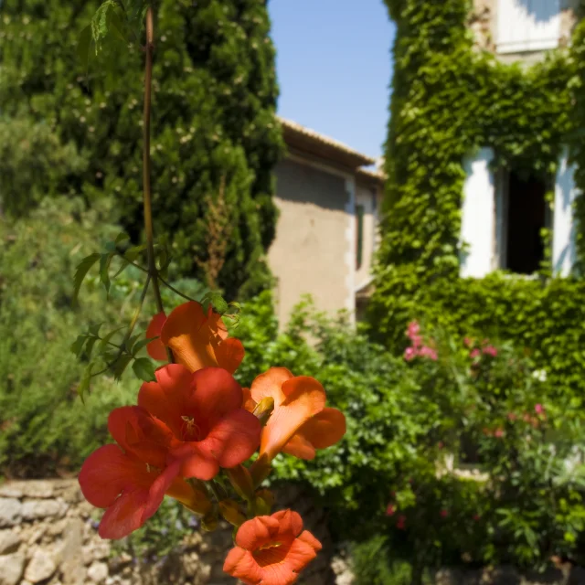 Seguret1@philippeabel