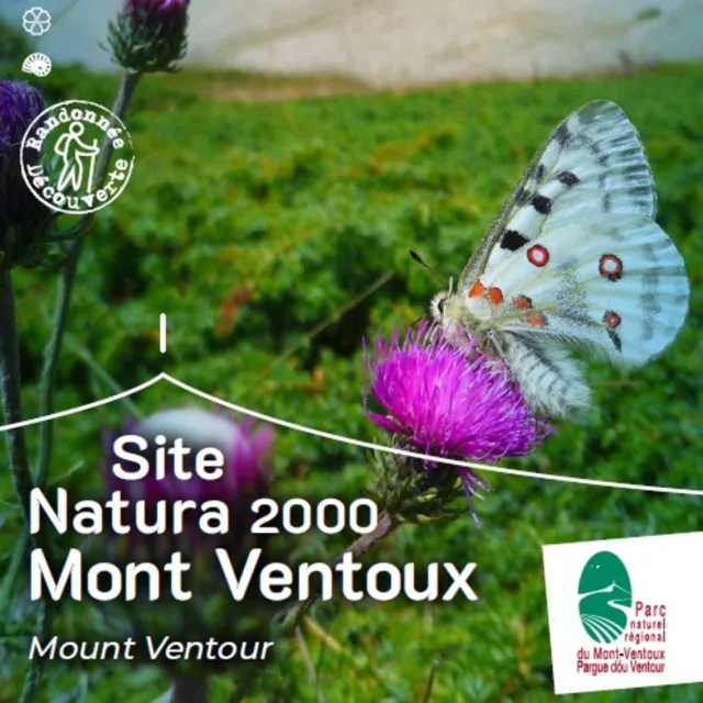 Le Mont-Ventoux, site Natura 2000