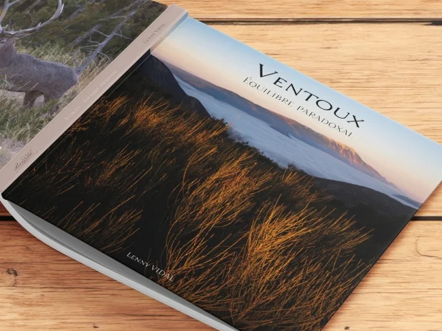 Livre Lenny Vidal
