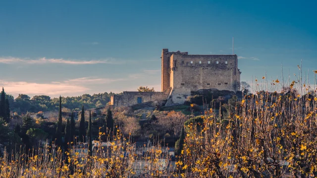 Le château Comtal de Vaison-la-Romaine en hiver