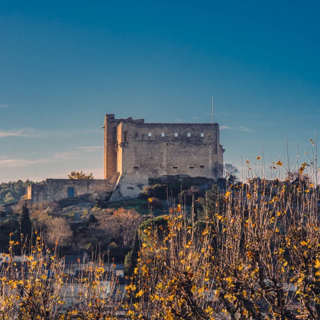 Le château Comtal de Vaison-la-Romaine en hiver