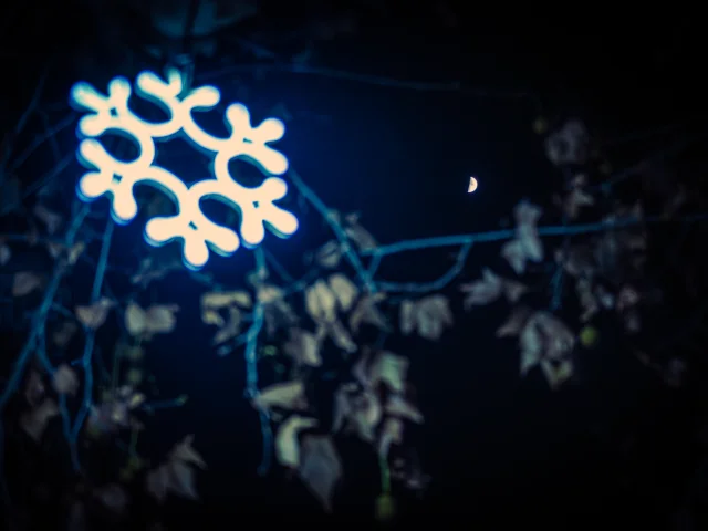 Weihnachten in Vaison Ventoux Provence - Buisson
