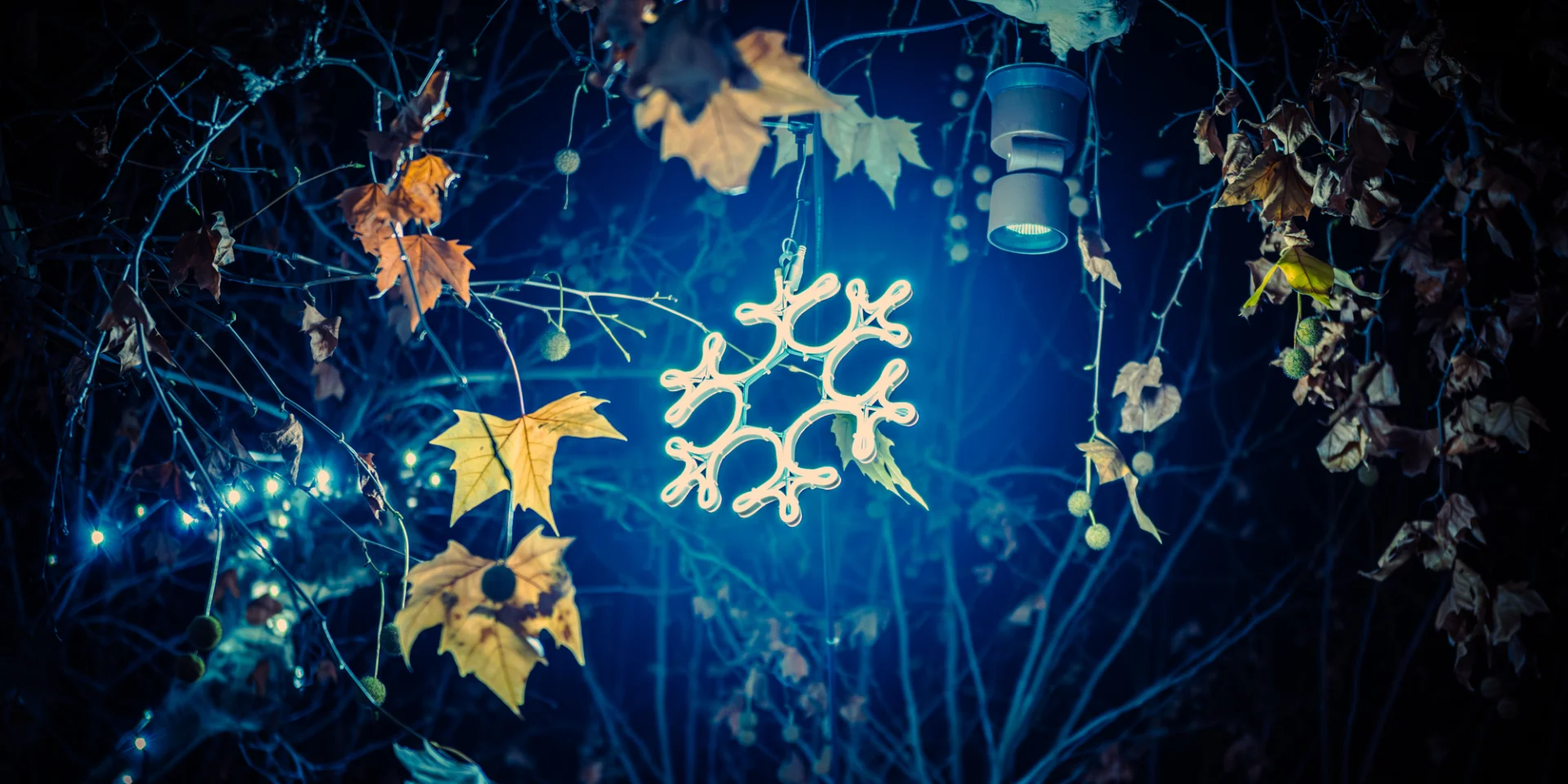 Christmas in Vaison Ventoux Provence - Buisson