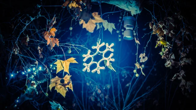 Noël en Vaison Ventoux Provence - Buisson