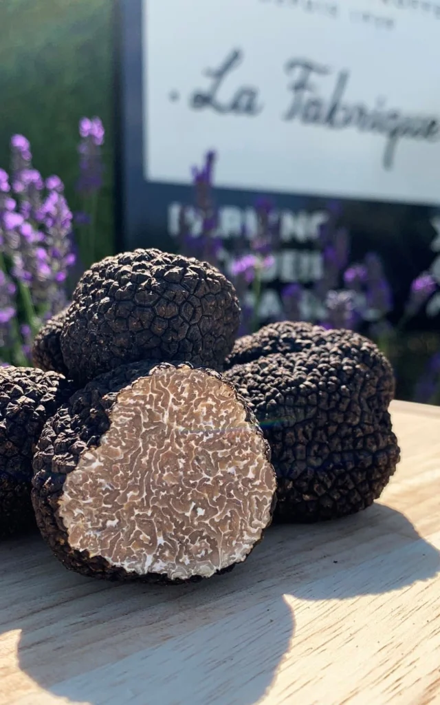 Truffel Copyright Plantin Truffes