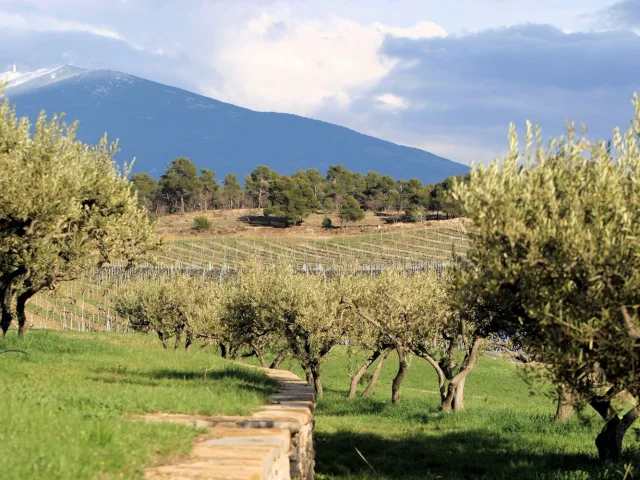 Domaine Chêne Bleu