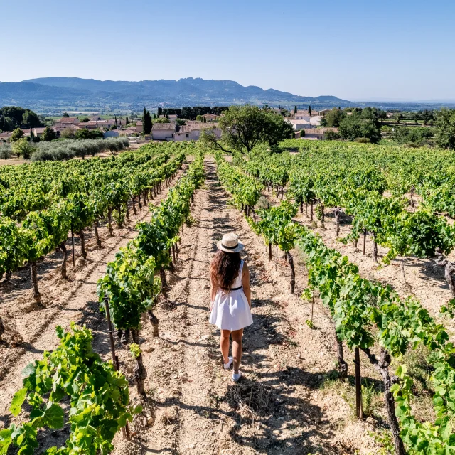 Au Coeur Des Vignes Aoc Rasteau Gezicht Op De Dentelles De Montmirail