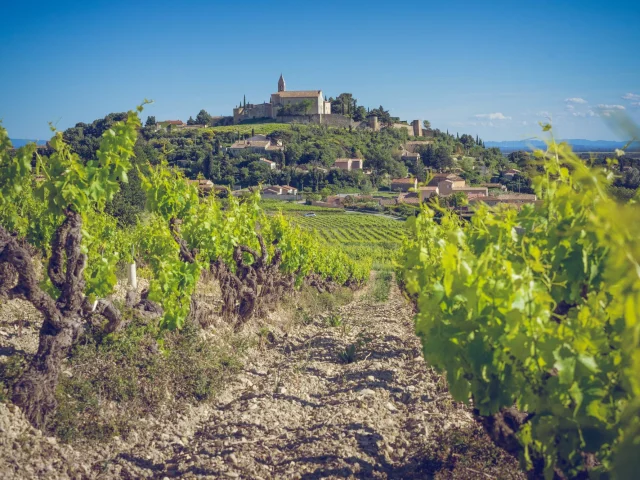 Cairanne Vineyards