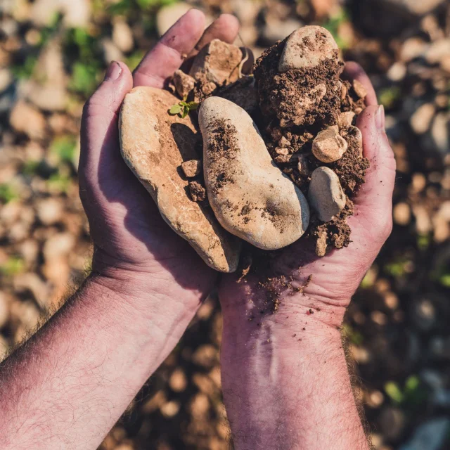 Terroir Des Guarrigues