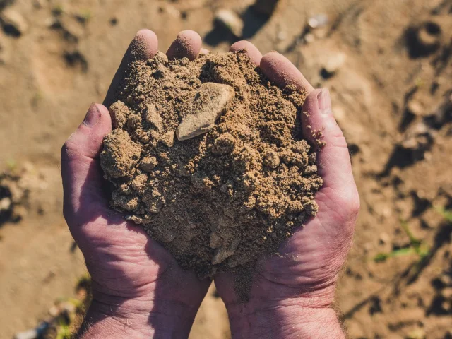Terroir Des Sablieres