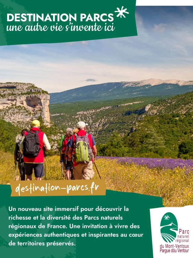 Visuel de présentation du site Destination Parcs