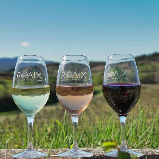 Aoc Cotes Du Rhone Dörfer Roaix Gläser Drei Farben