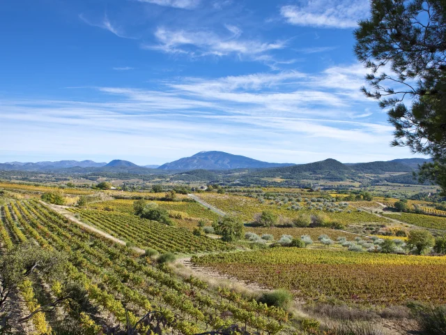 Cotes du Rhone Dörfer Roaix