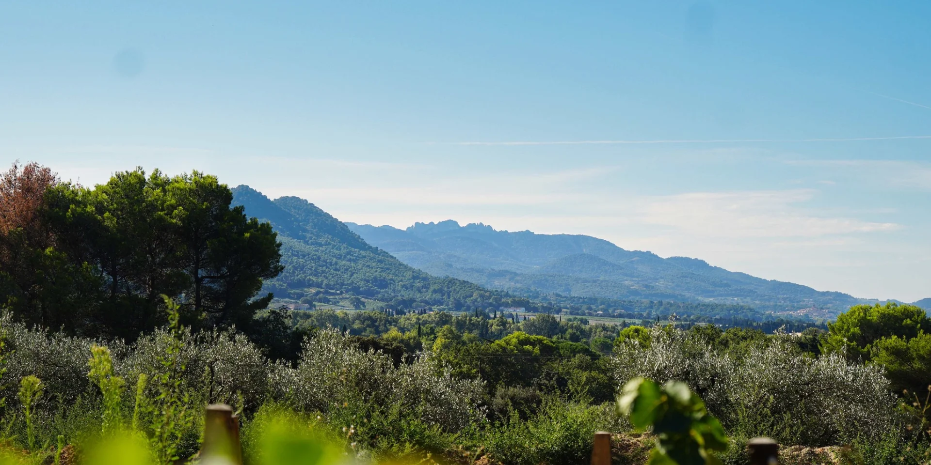 Aoc Cotes Du Rhone Villages Roaix Vignes Dentelles De Montmirail