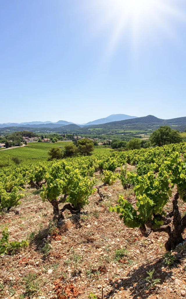 Vignobles Cotes du Rhone Villages Roaix