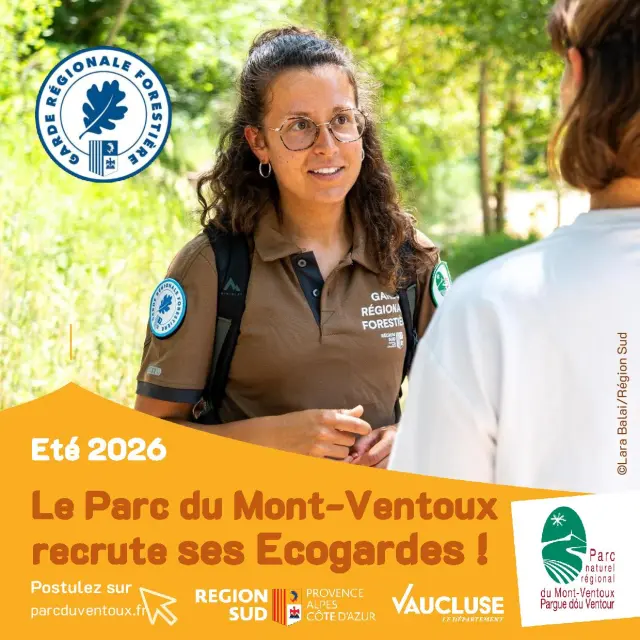 Recrutement Ecogardes 2026 Parc Naturel Regional Du Mont Ventoux