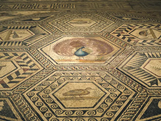 Het detail als toegangspoort.