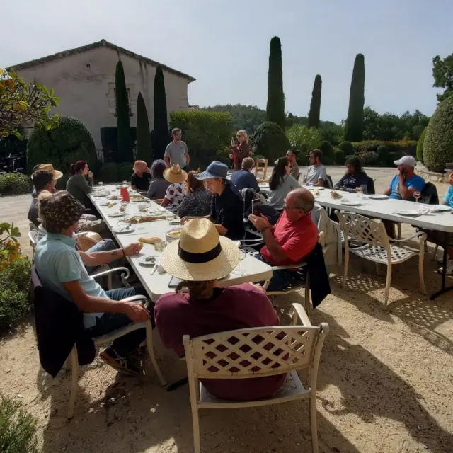 Chene Bleu Offre Emploi Vendanges