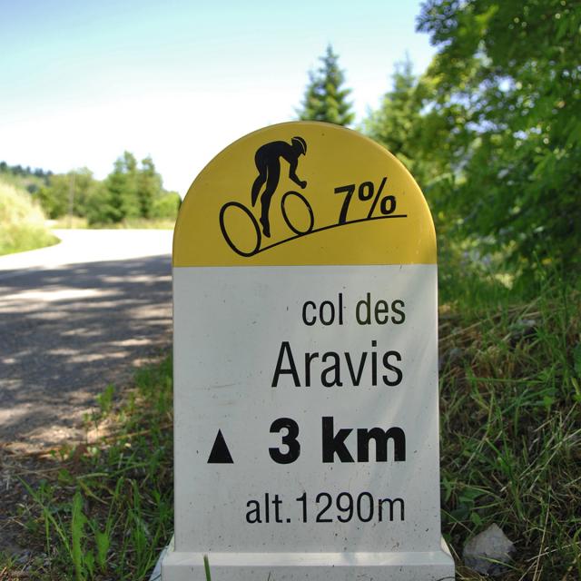 col-des-aravis-borne.jpg