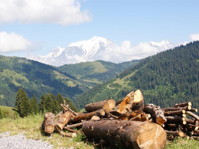 Randonnée sur la route des Montagnes, face au Mont-Blanc à, La Giettaz en Aravis