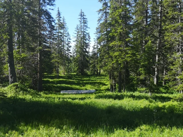 Sentier des Arpelières